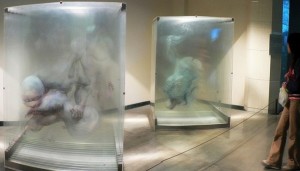 Escultura 3D em vidro por Xia Xiaowan