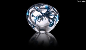 Arte em vidro por Elvira Schuartz - Suricato