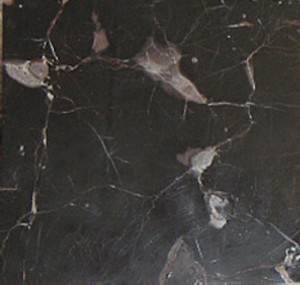 Mármore para paredes de banheiros