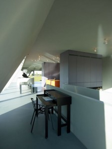 SODAE House, por VMX Architects