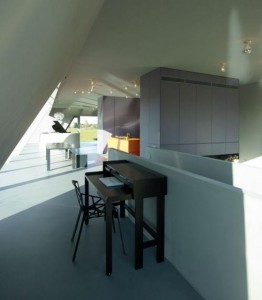 SODAE House, por VMX Architects