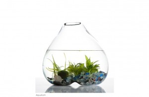 Terrarium - Natureza escultórica em vidro por Paula Hayes