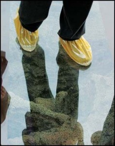 Pantufa para Andar no Grand Canyon Skywalk