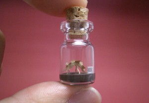 Mini Esculturas em Frascos de Vidro - Tiny World in a Bottle por Akinobu Izumi