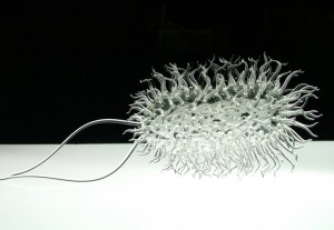 escultura-de-vidro-pelo-artista-luke-jerram-serie-glass-microbiology
