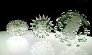 escultura-em-vidro-de-virus-pelo-artista-luke-jerram-serie-glass-microbiology