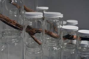 potes-de-vidro-com-galhos-urban-nature-2011-por-naoko-ito