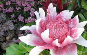 arte-em-vidro-jardim-com-flores-em-vidro-soprado-pelo-atelie-cohn-stone