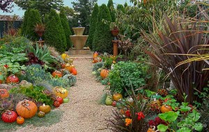 arte-em-vidro-jardim-com-flores-frutas-e-legumes-em-vidro-soprado-pelo-atelie-cohn-stone