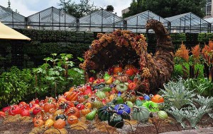 arte-em-vidro-jardim-com-frutas-e-legumes-em-vidro-soprado-pelo-atelie-cohn-stone