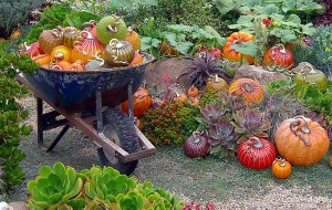 arte-em-vidro-jardim-com-legumes-e-frutas-em-vidro-soprado-pelo-atelie-cohn-stone