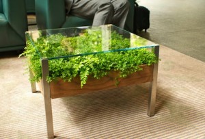 mesa-de-centro-com-vaso-de-planta-living-table-por-habitat-horticulture