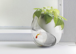 moderno-aquario-decorativo-para-peixe-dourado