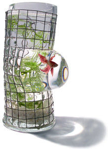 moderno-aquario-decorativo-para-peixe-japones