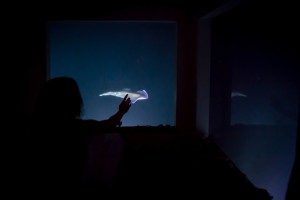 hotel-no-fundo-do-mar-manta-underwater-room
