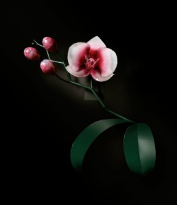 escultura-de-orquidea-em-vidro-por-jason-gamrath