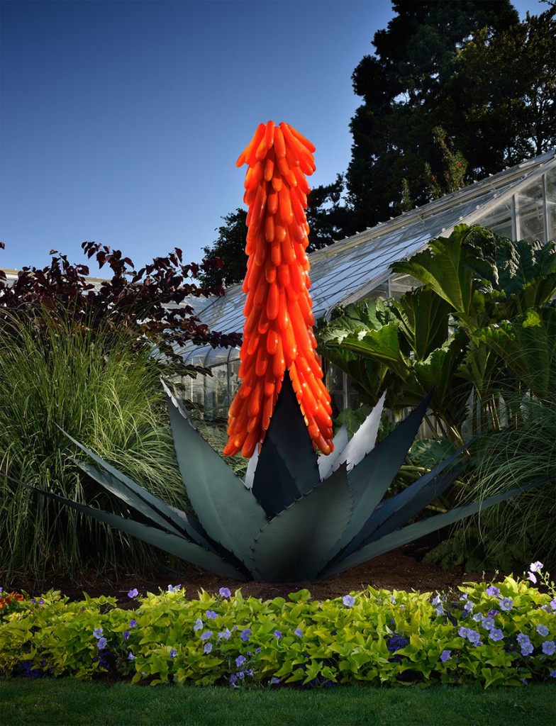 escultura-em-vidro-de-planta-carnivora-em-vidro-por-jason-gamrath