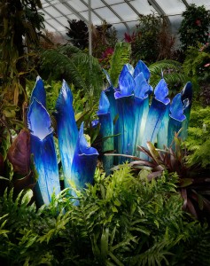 escultura-plantas-carnivoras-em-vidro-por-jason-gamrath