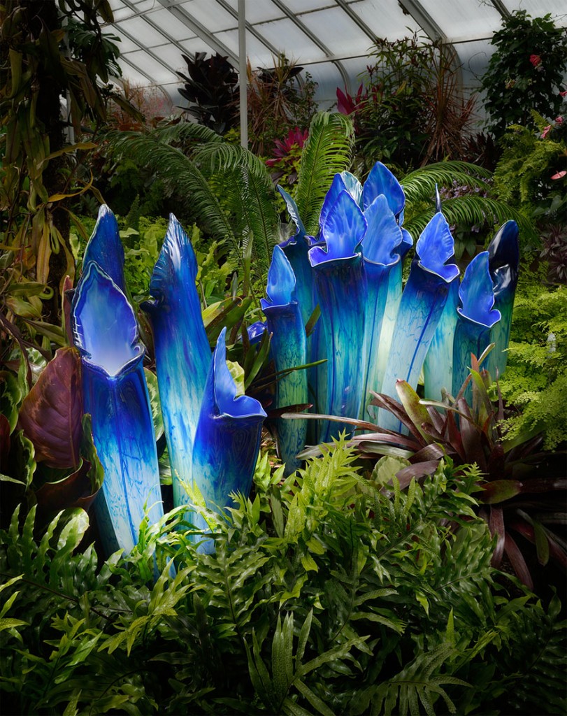 escultura-plantas-carnivoras-em-vidro-por-jason-gamrath