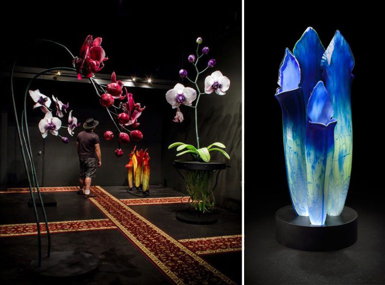 Flores em vidro gigantes de Gamrath são exposta em Seattle