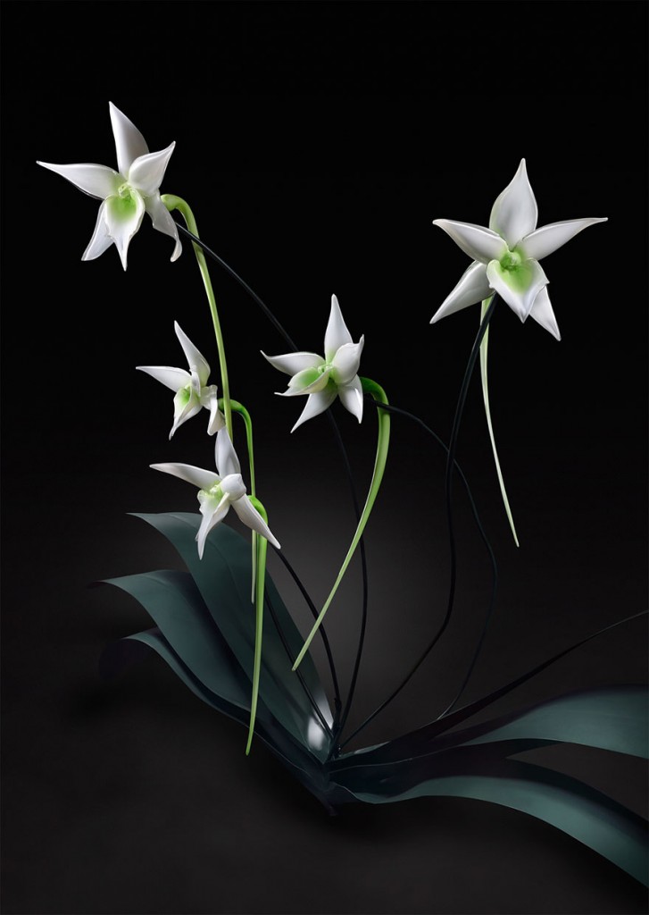 orquidea-em-vidro-por-jason-gamrath