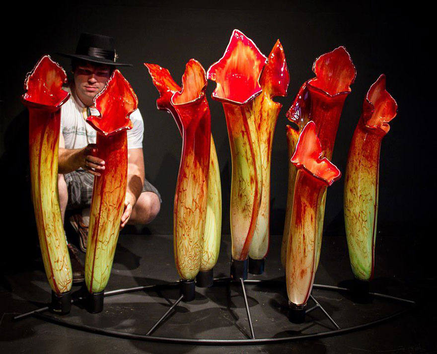 plantas-carnivoras-de-vidro-por-jason-gamrath