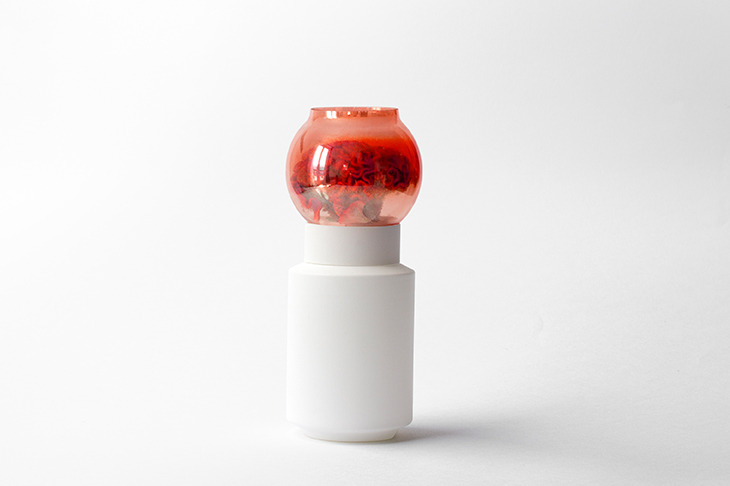 vaso-de-flor-experimenta