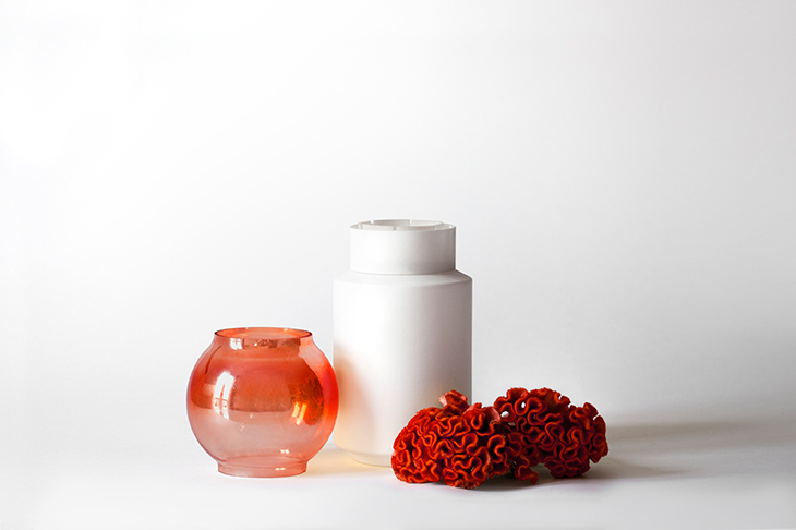 vaso-para-flor-experimenta