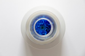 vaso-para-flores-experimenta