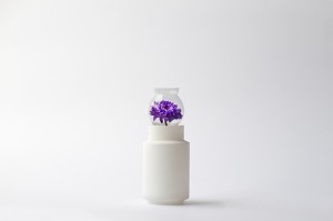 vasos-de-plantas-experimenta