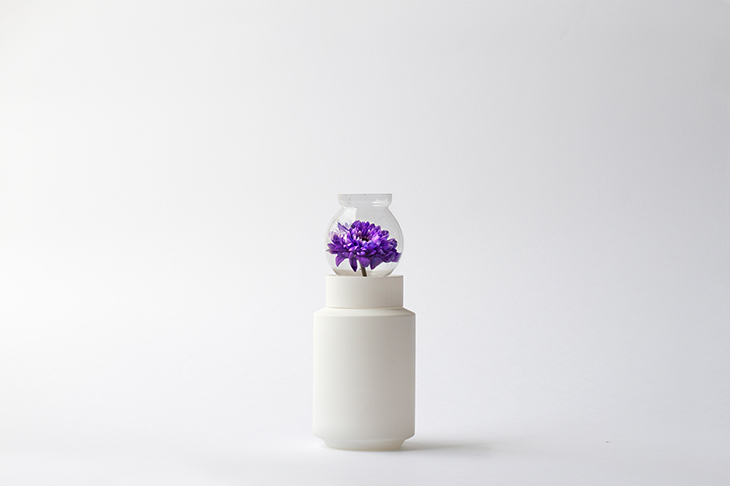 vasos-de-plantas-experimenta