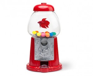 aquario-peixe-betta-maquina-de-bolinha-e-chiclete