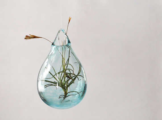 vaso-suspenso-de-plantas-em-vidro