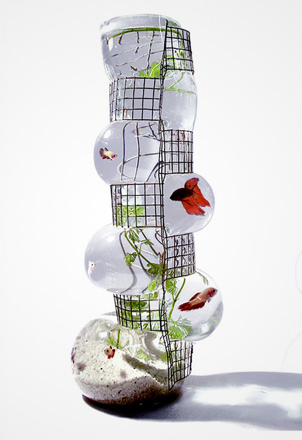 moderno-aquario-peixe-betta-por-vanessa-mitrani