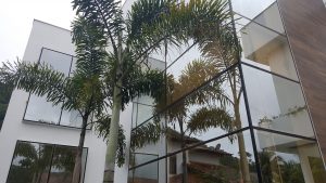fachada-pele-de-vidro-champanhe-refletivo